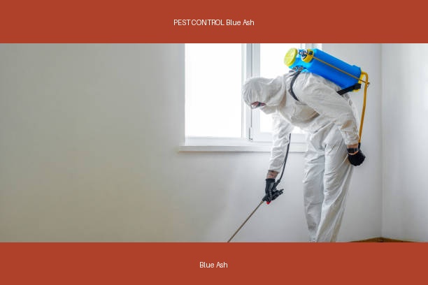 PEST CONTROL Blue Ash
